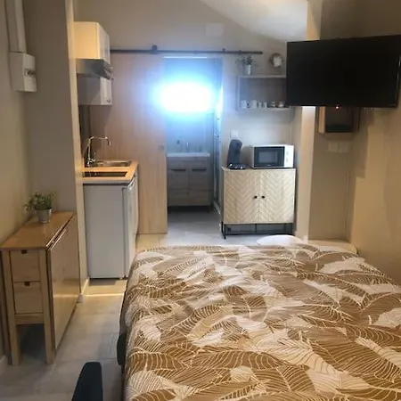 Apartmán Les Embruns - Avec Jardin