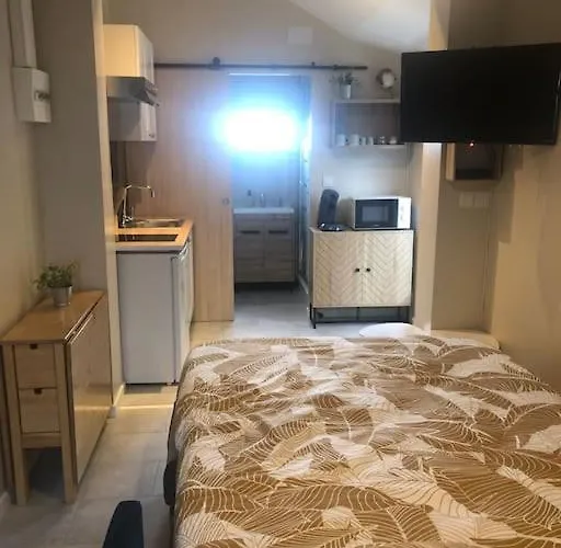 Apartamento Les Embruns - Avec Jardin